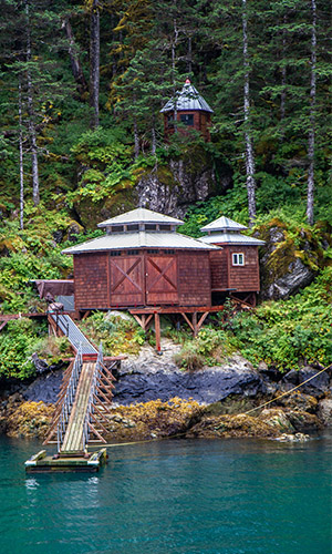 Cottage in the woods by a riverbank