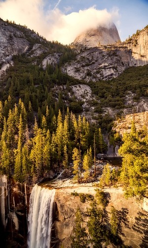 Mountain forest by the edge of a cliff.